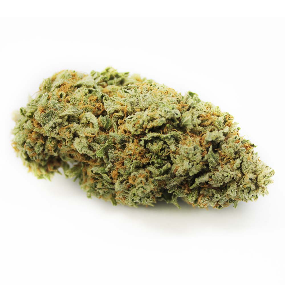 Sky High Exotics