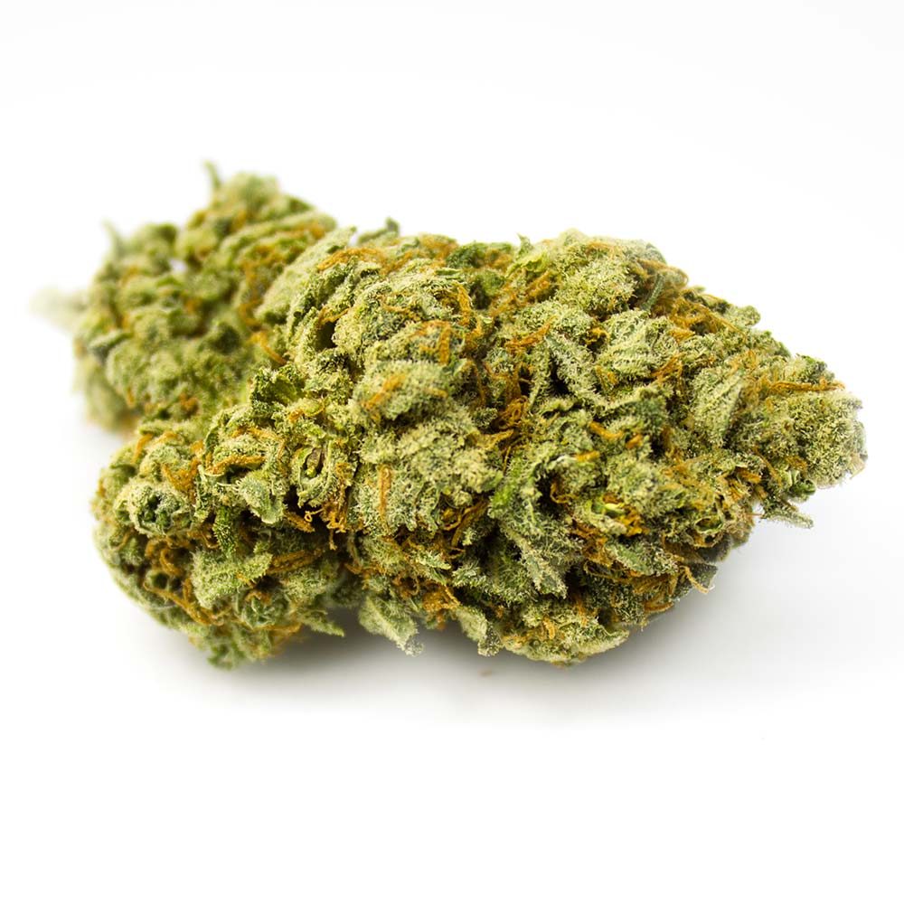 Sky High Exotics