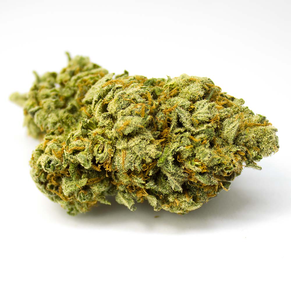 Sky High Exotics