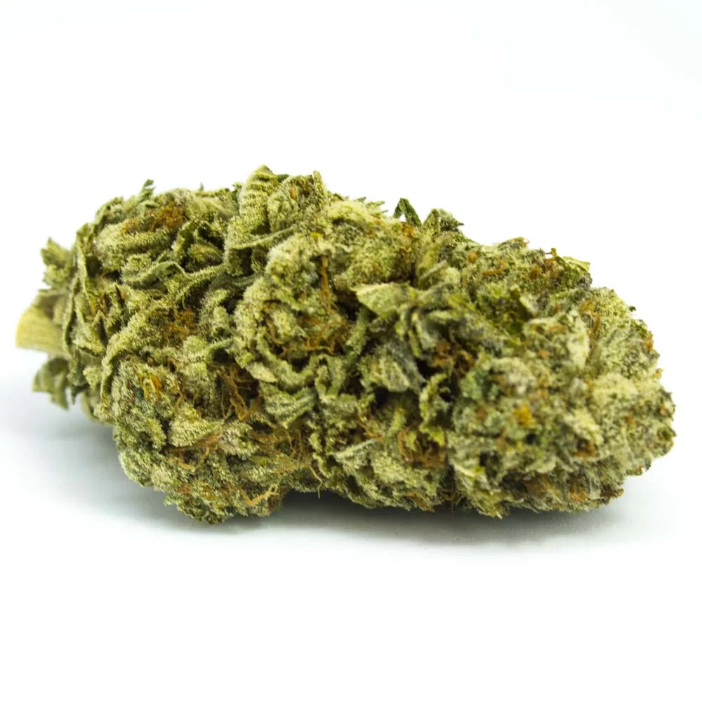 Sky High Exotics