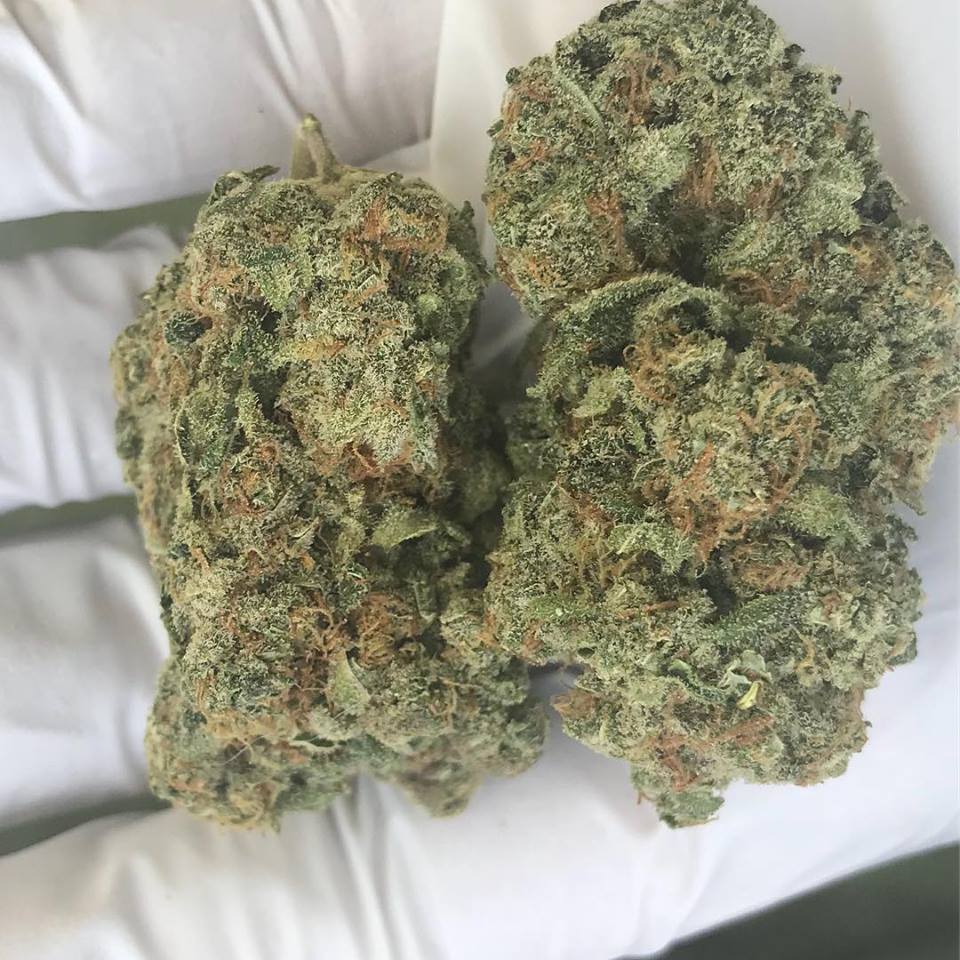 Sky High Exotics