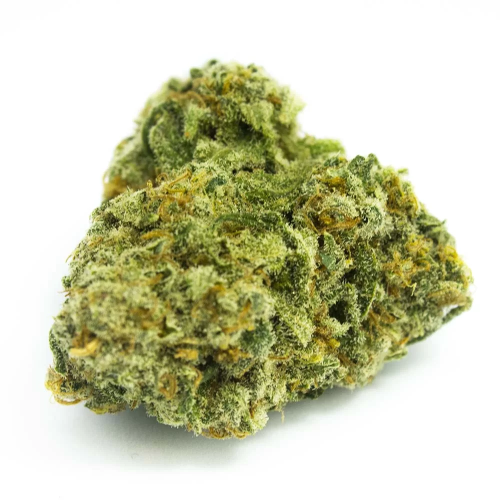 Sky High Exotics