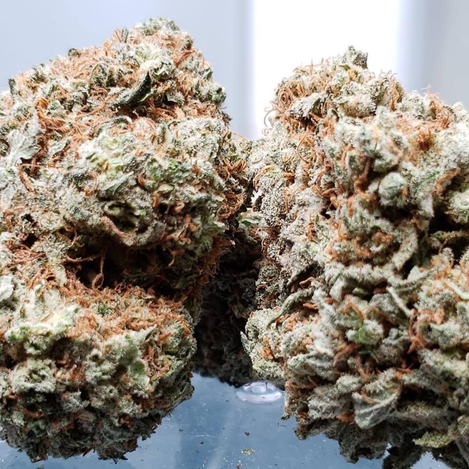 Sky High Exotics