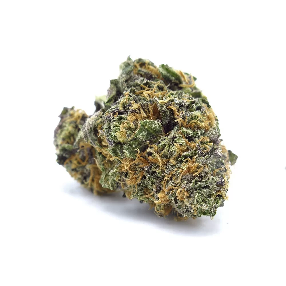 Sky High Exotics