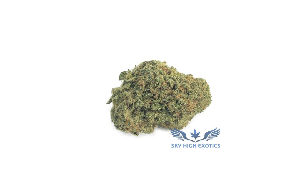 Sky High Exotics