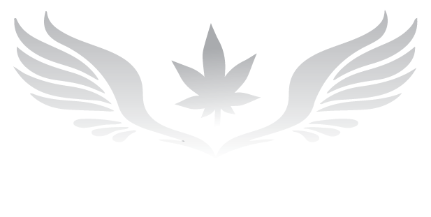 Sky High Exotics
