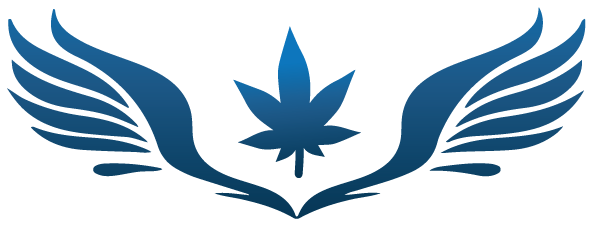 Sky High Exotics