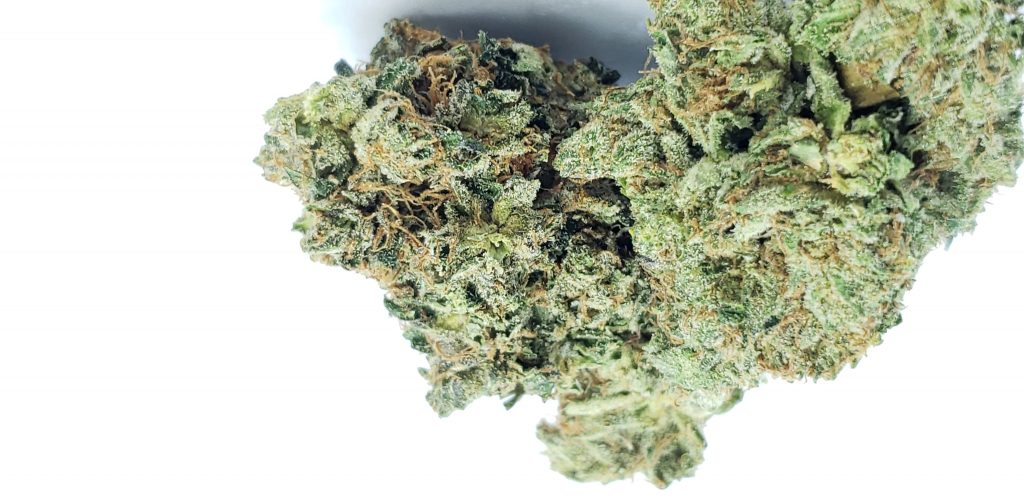 Sky High Exotics