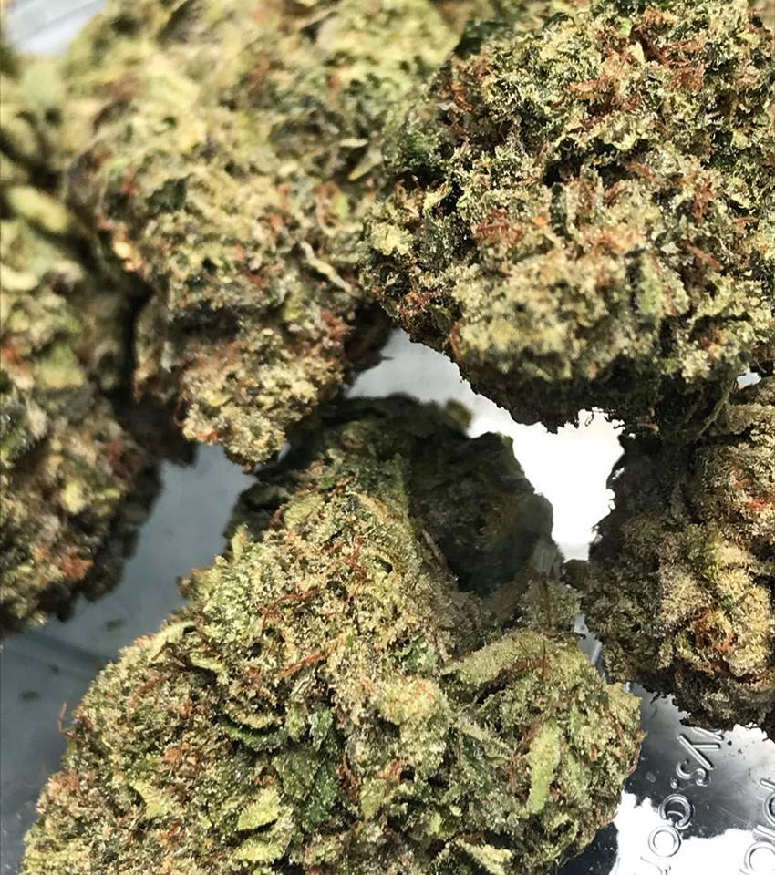 Sky High Exotics