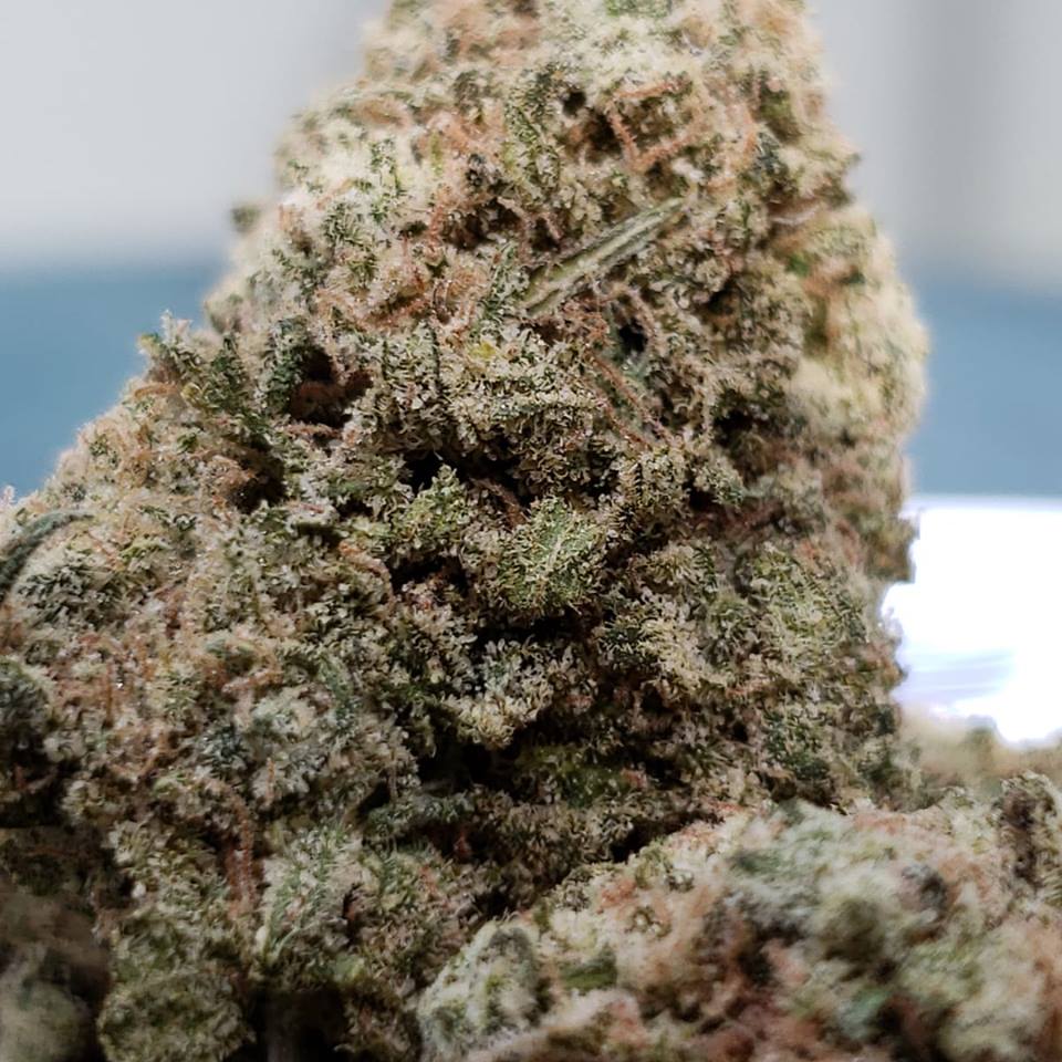 Sky High Exotics