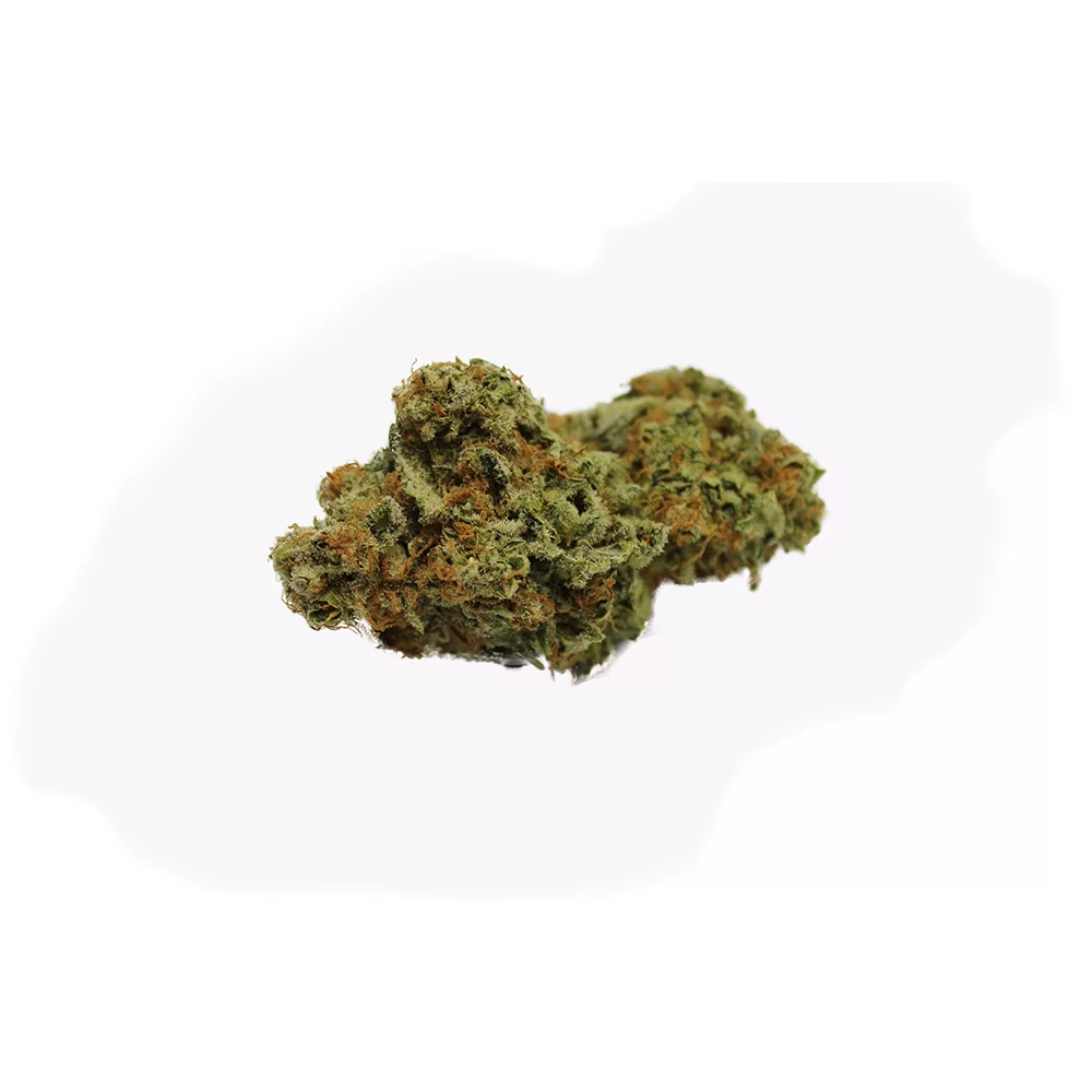 Sky High Exotics