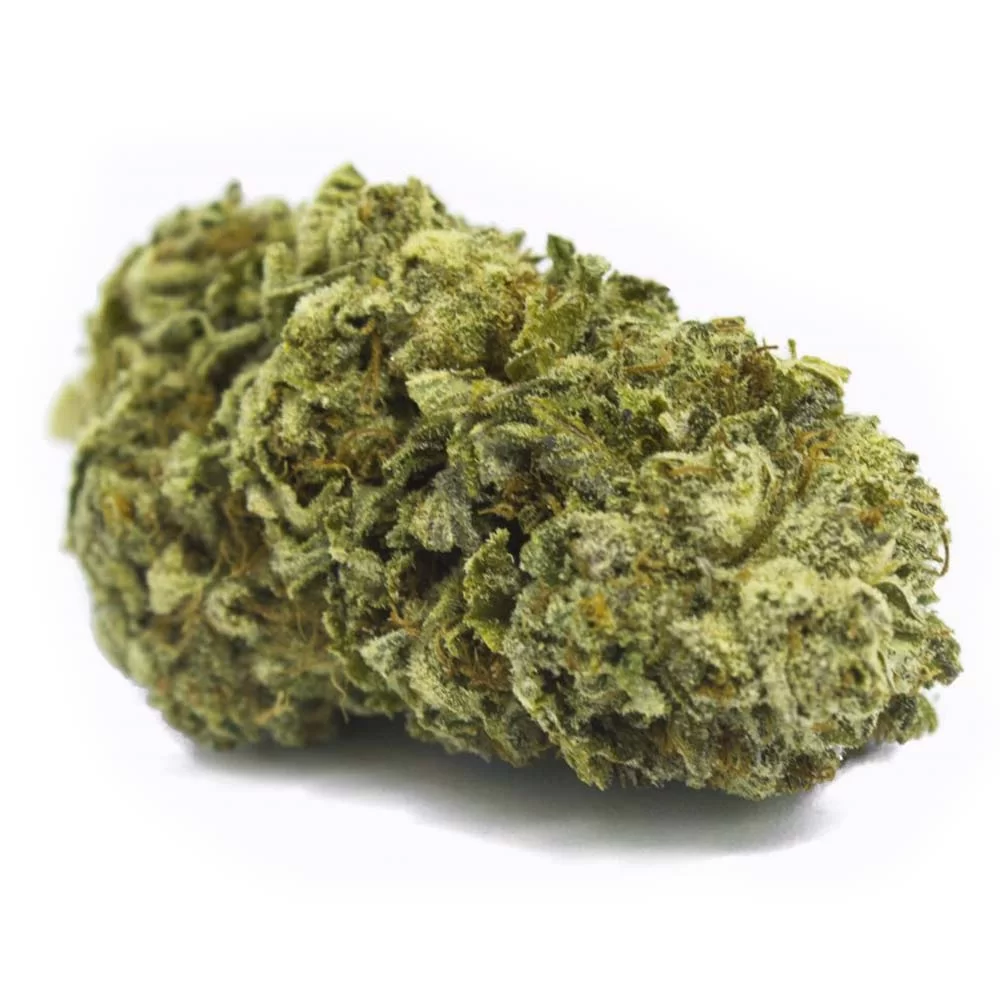 Sky High Exotics