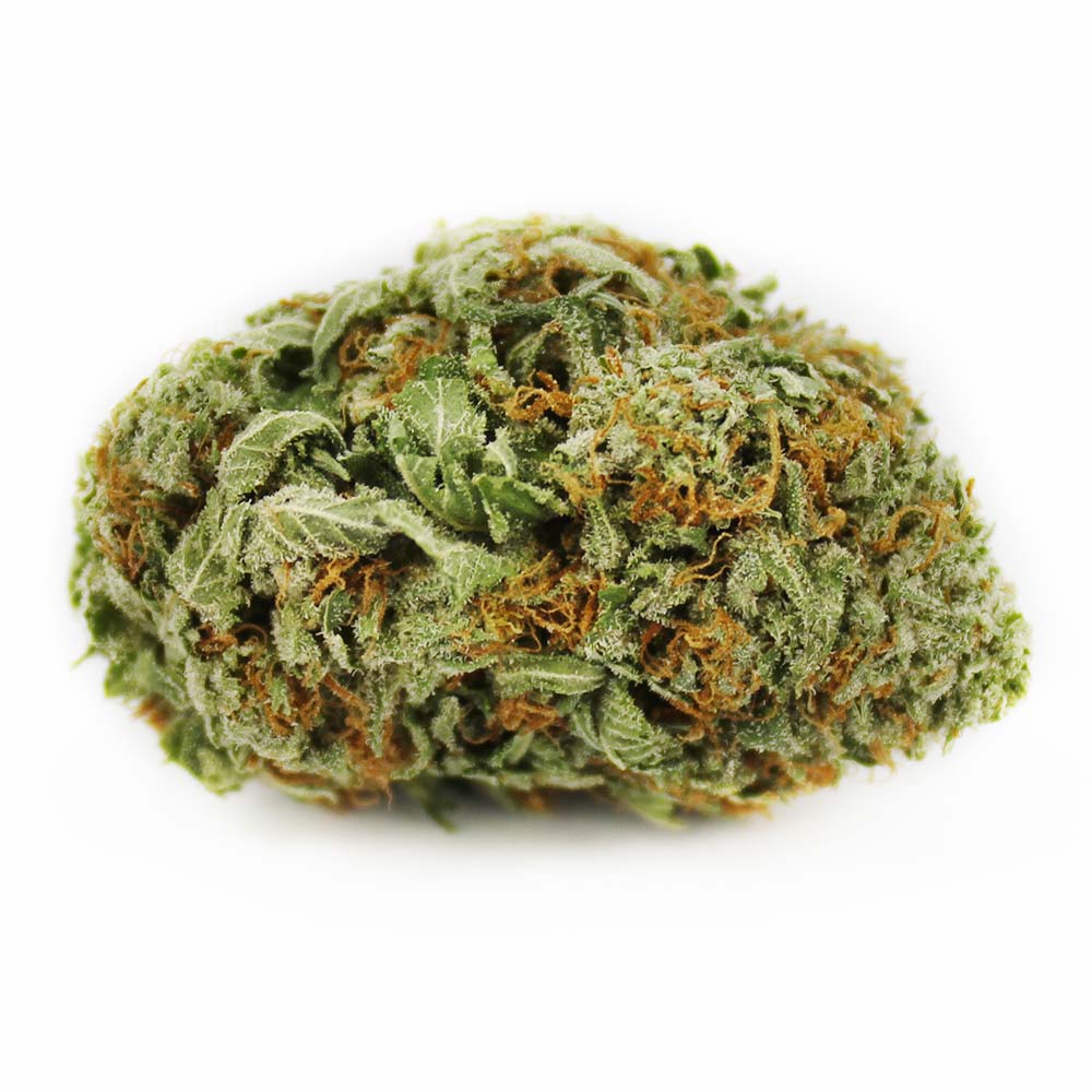 Sky High Exotics