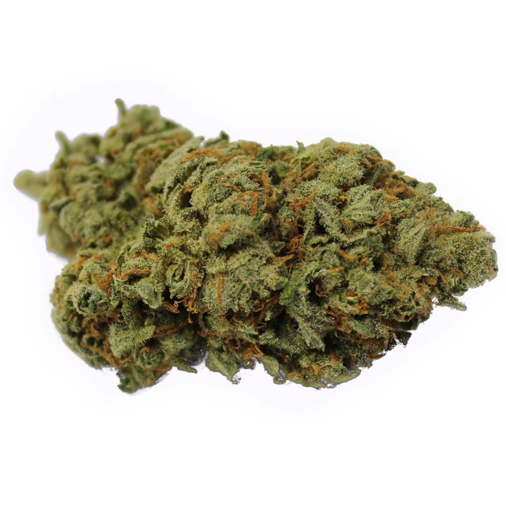 Sky High Exotics