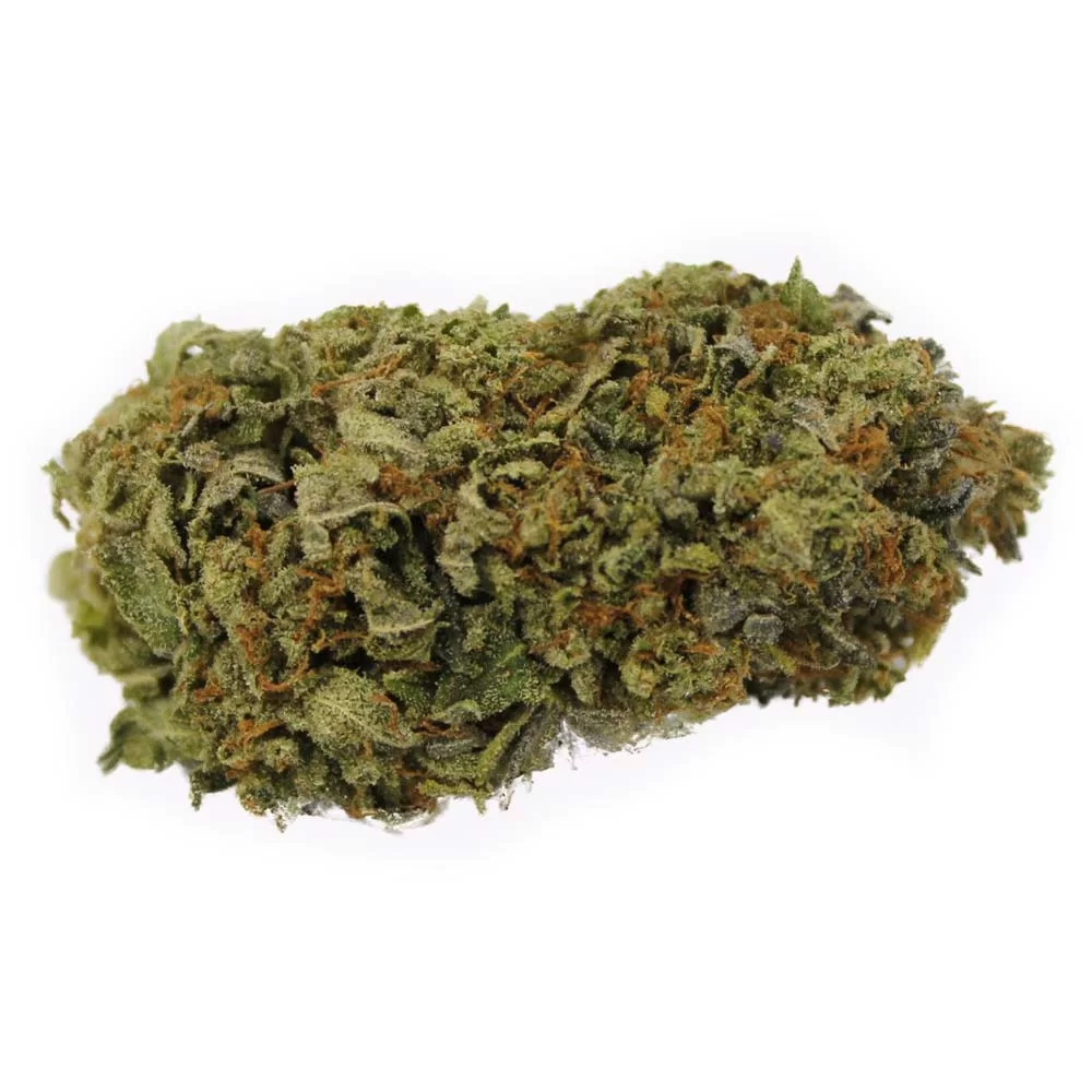 Sky High Exotics
