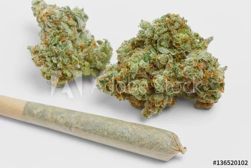 Sky High Exotics