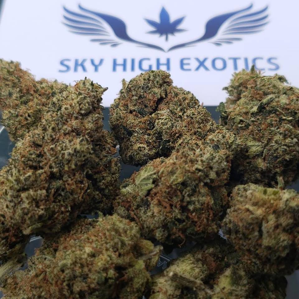 Sky High Exotics