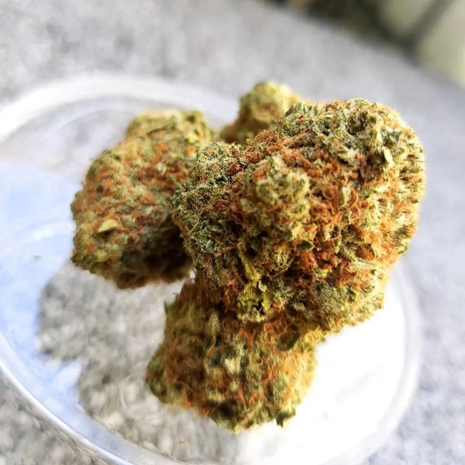 Sky High Exotics