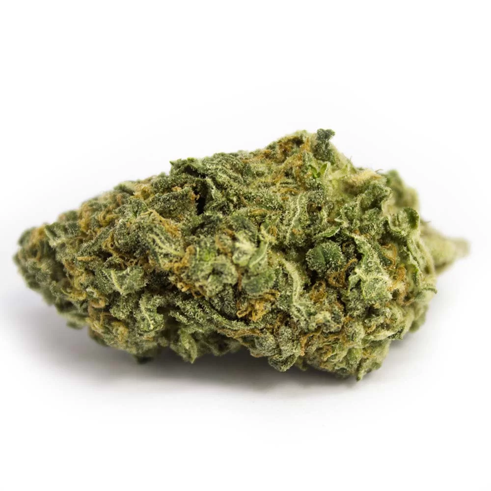 Sky High Exotics