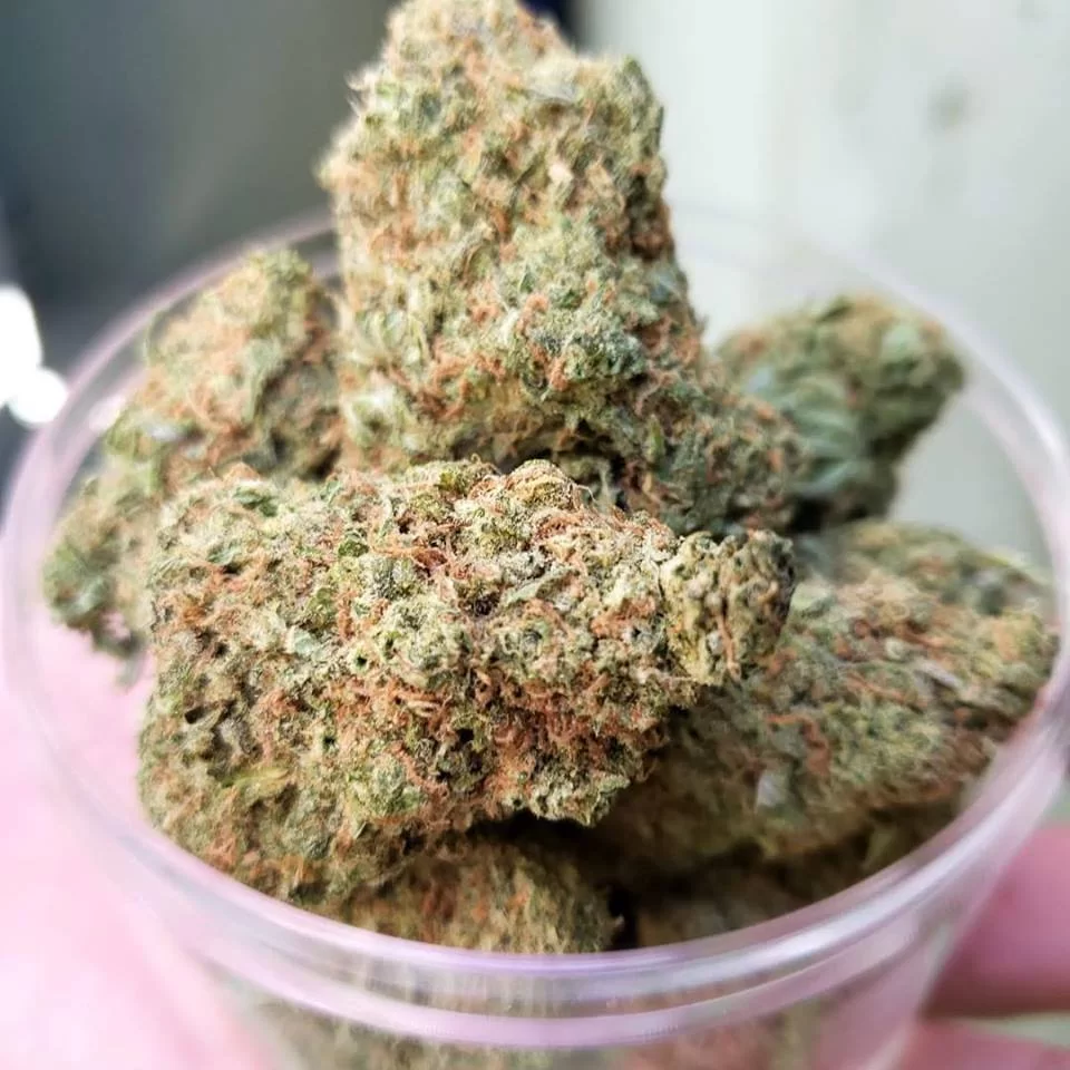 Sky High Exotics