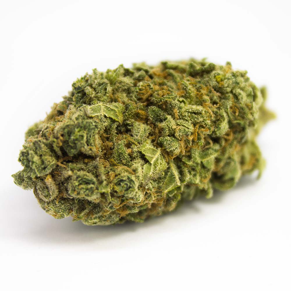 Sky High Exotics
