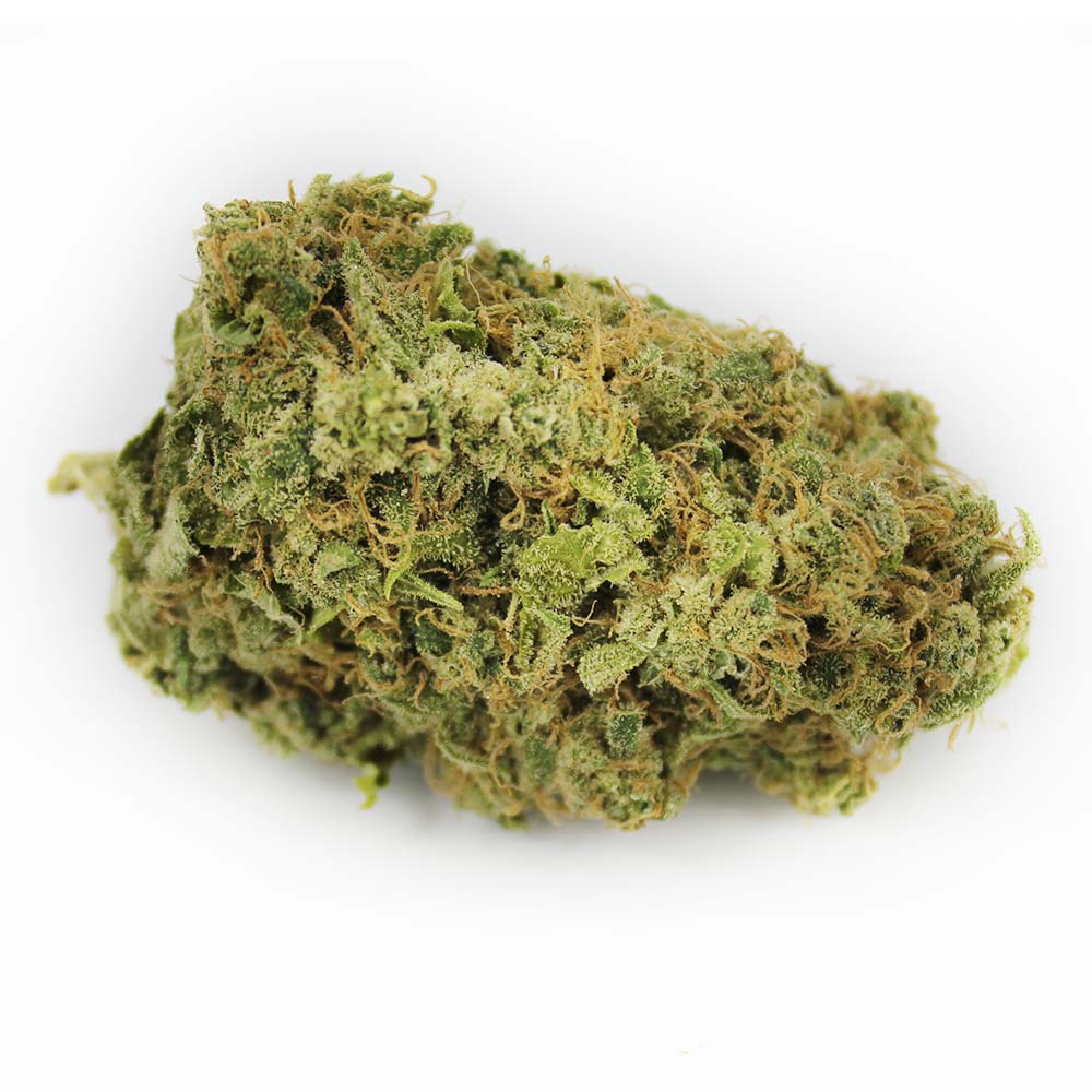 Sky High Exotics