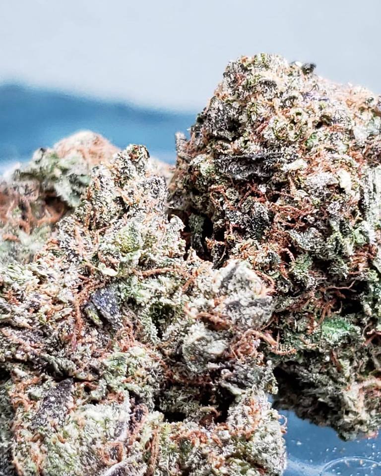 Sky High Exotics