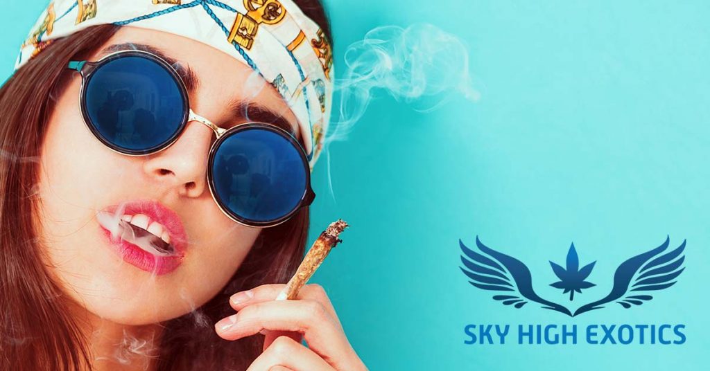 Sky High Exotics
