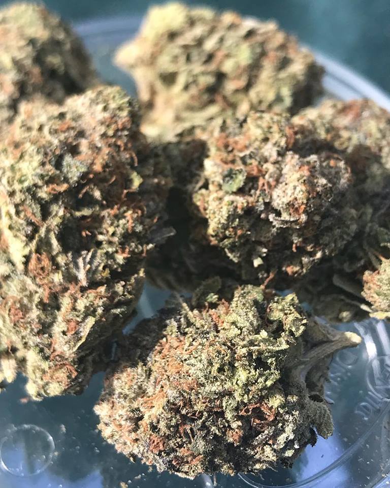 Sky High Exotics