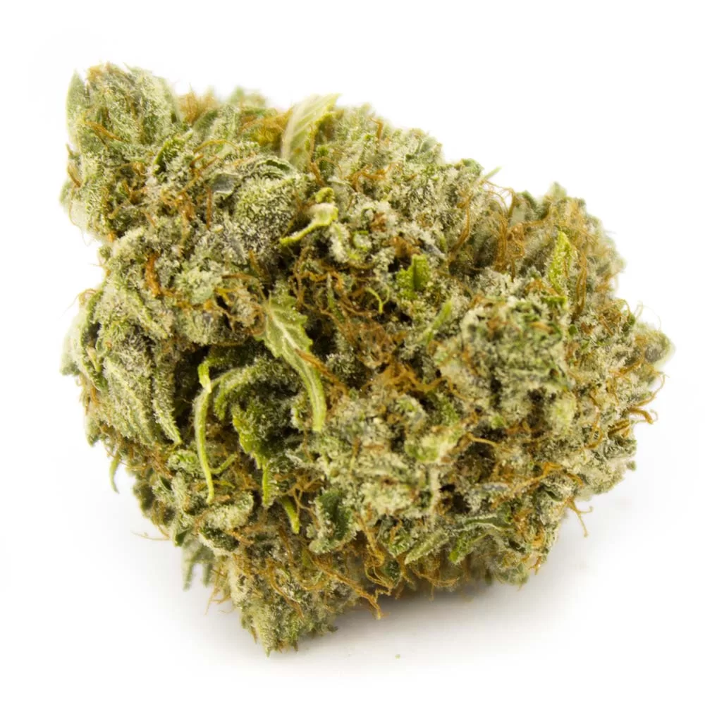 Sky High Exotics