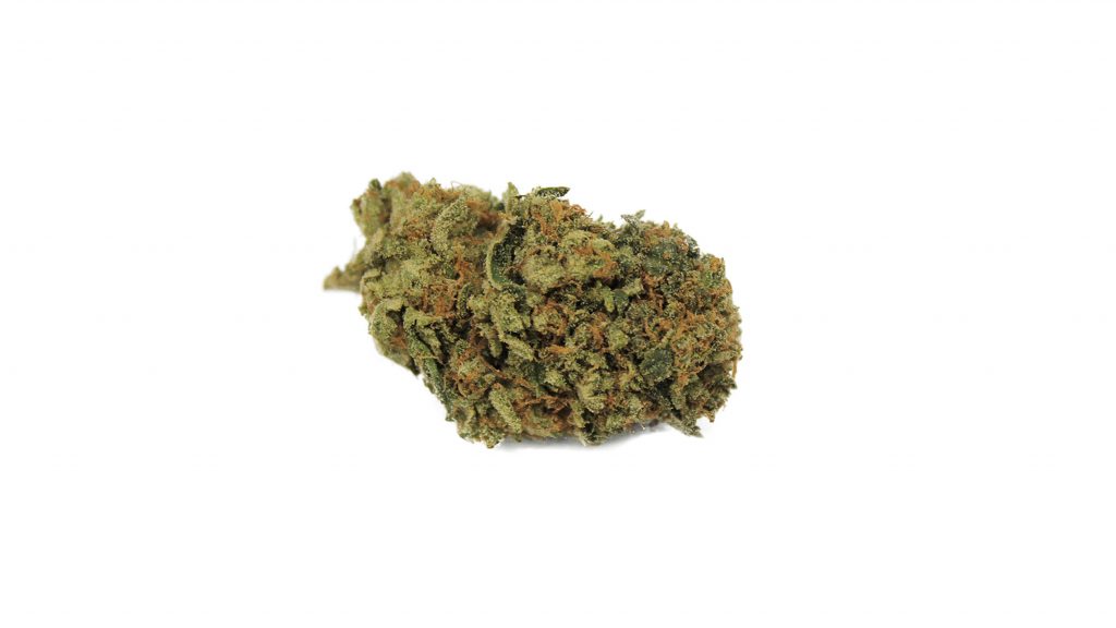 Sky High Exotics