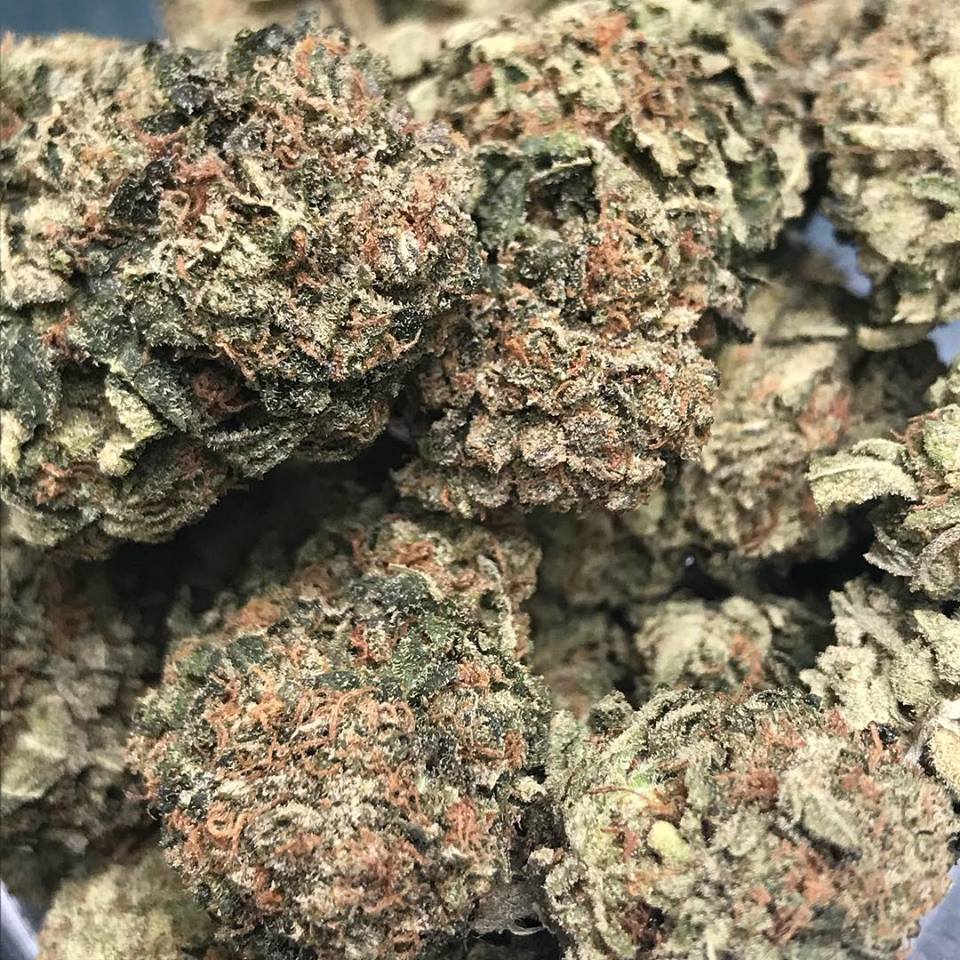 Sky High Exotics