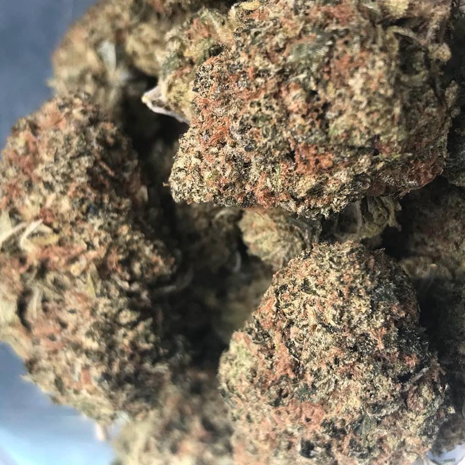 Sky High Exotics