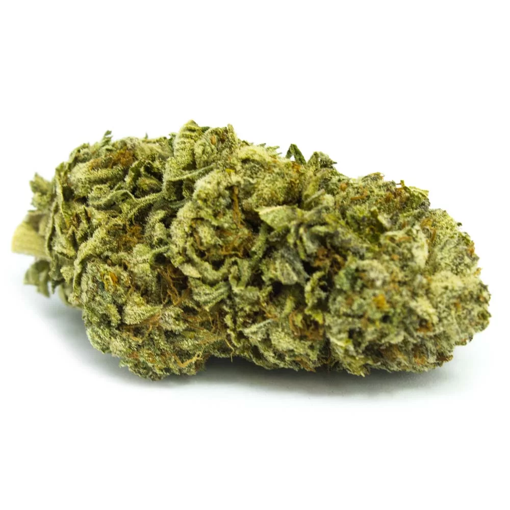 Sky High Exotics