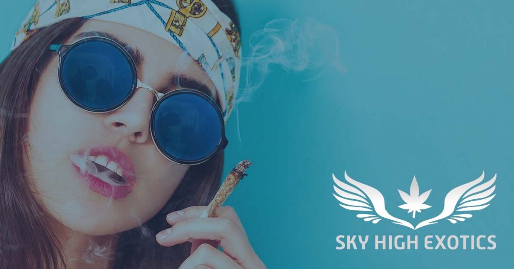 Sky High Exotics