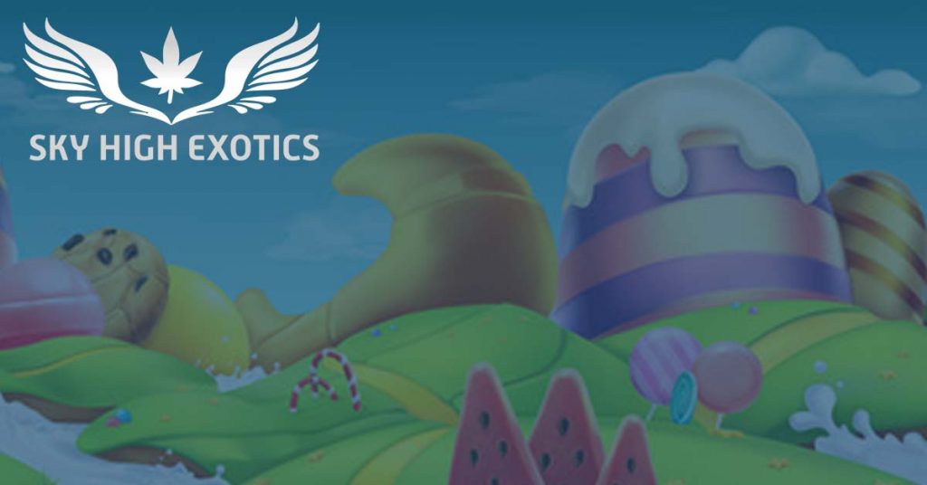 Sky High Exotics