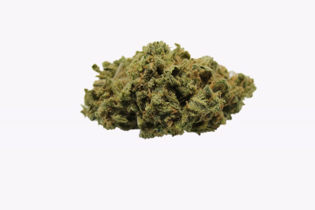 Sky High Exotics