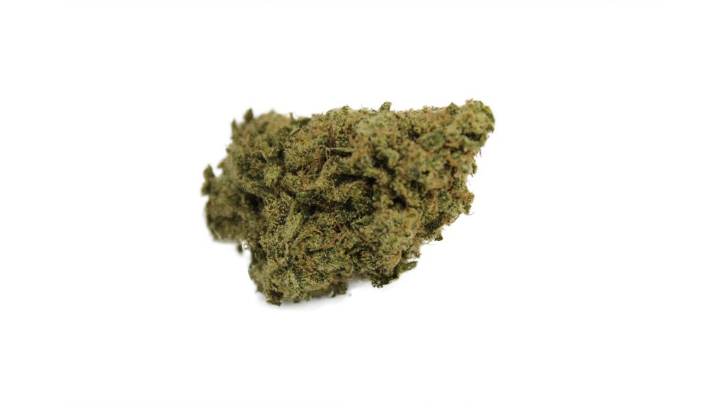 Sky High Exotics
