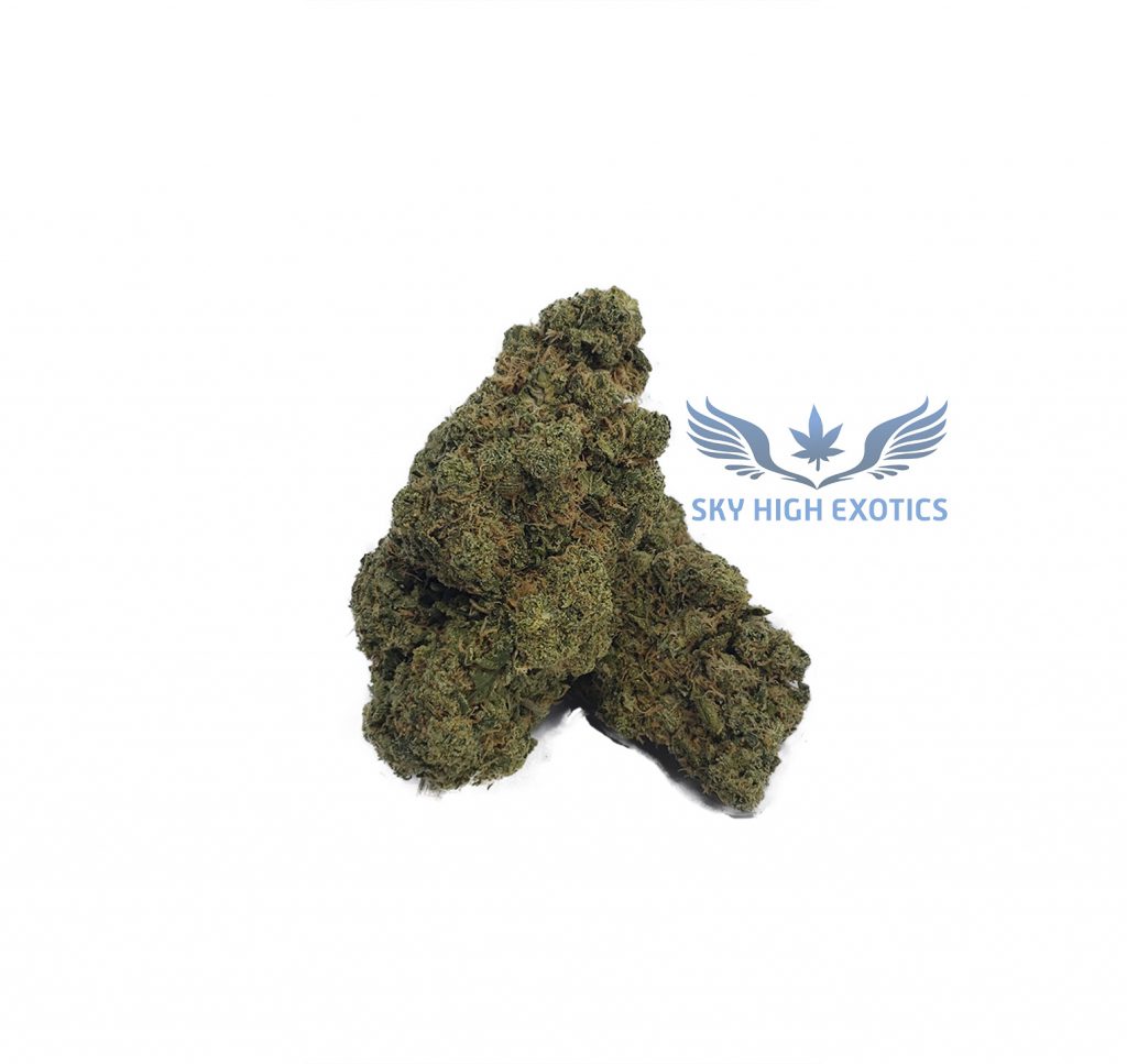 Sky High Exotics
