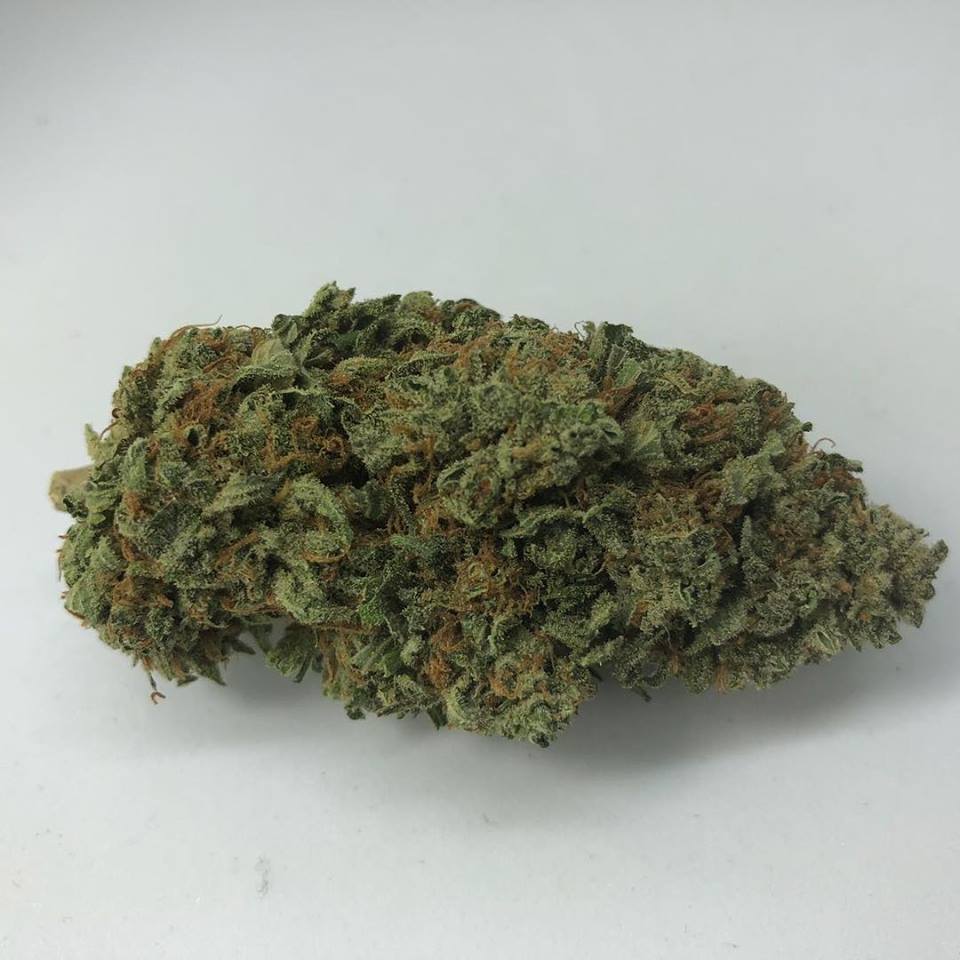 Sky High Exotics