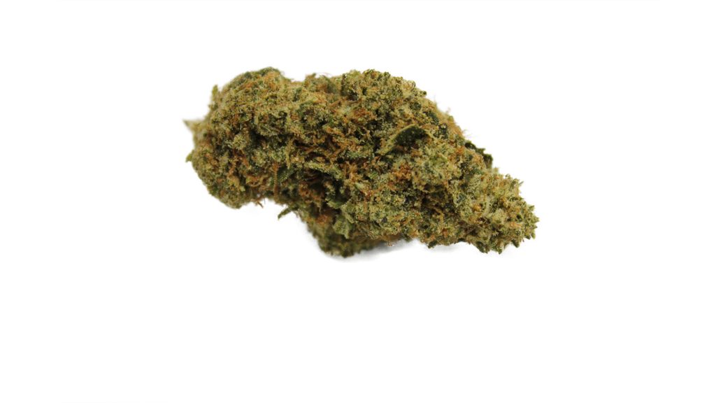 Sky High Exotics