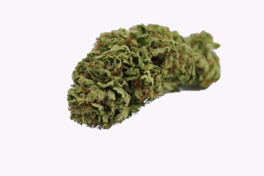 Sky High Exotics