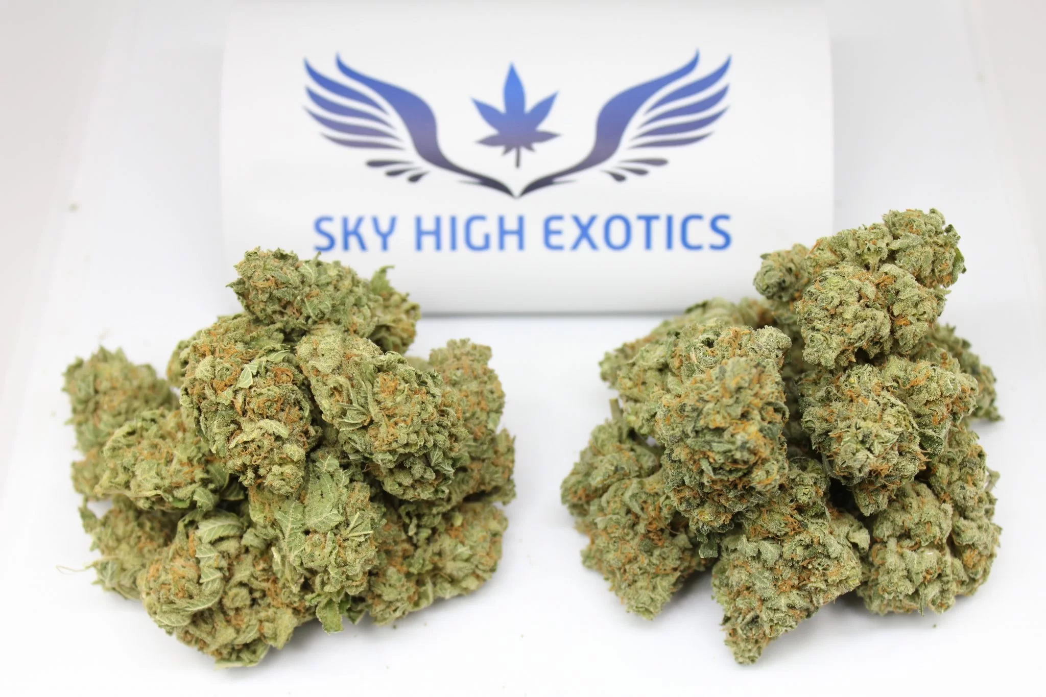 Sky High Exotics