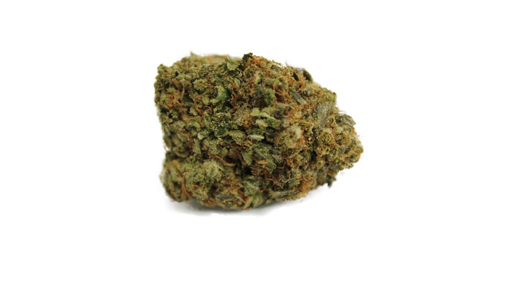 Sky High Exotics