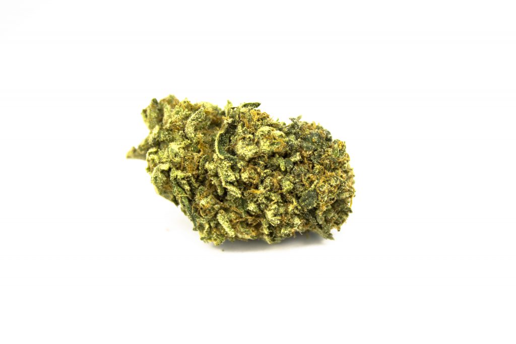 Sky High Exotics