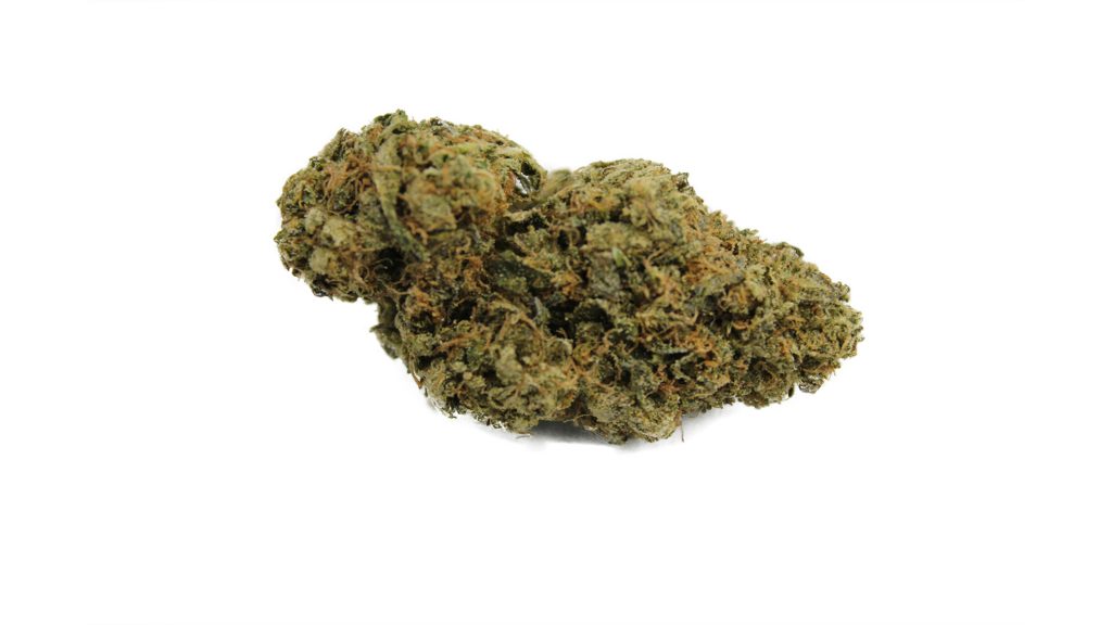 Sky High Exotics