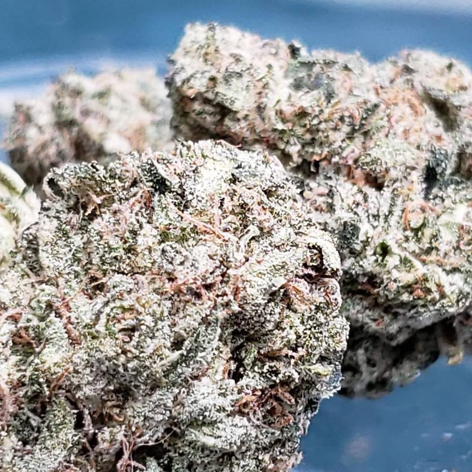 Sky High Exotics