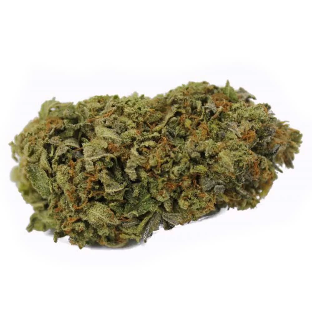 Sky High Exotics