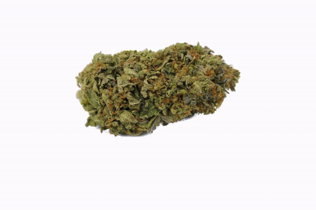Sky High Exotics