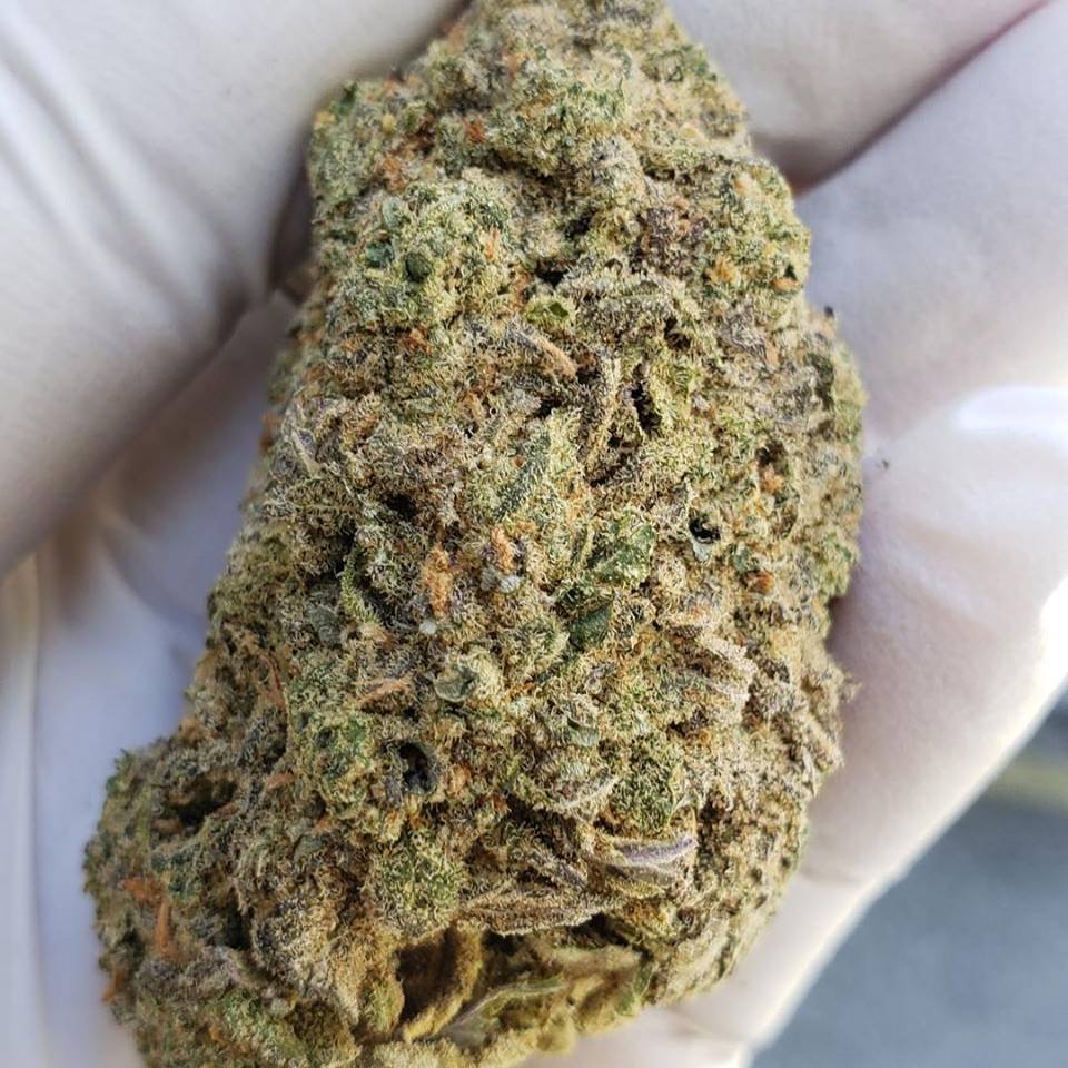 Sky High Exotics